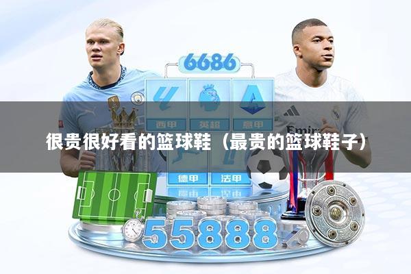 很贵很好看的篮球鞋（最贵的篮球鞋子）